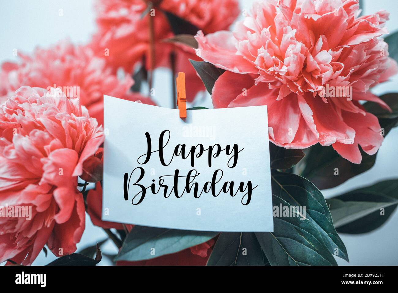 Happy Birthday greeting card on pink flower. Roses flowers and ...
