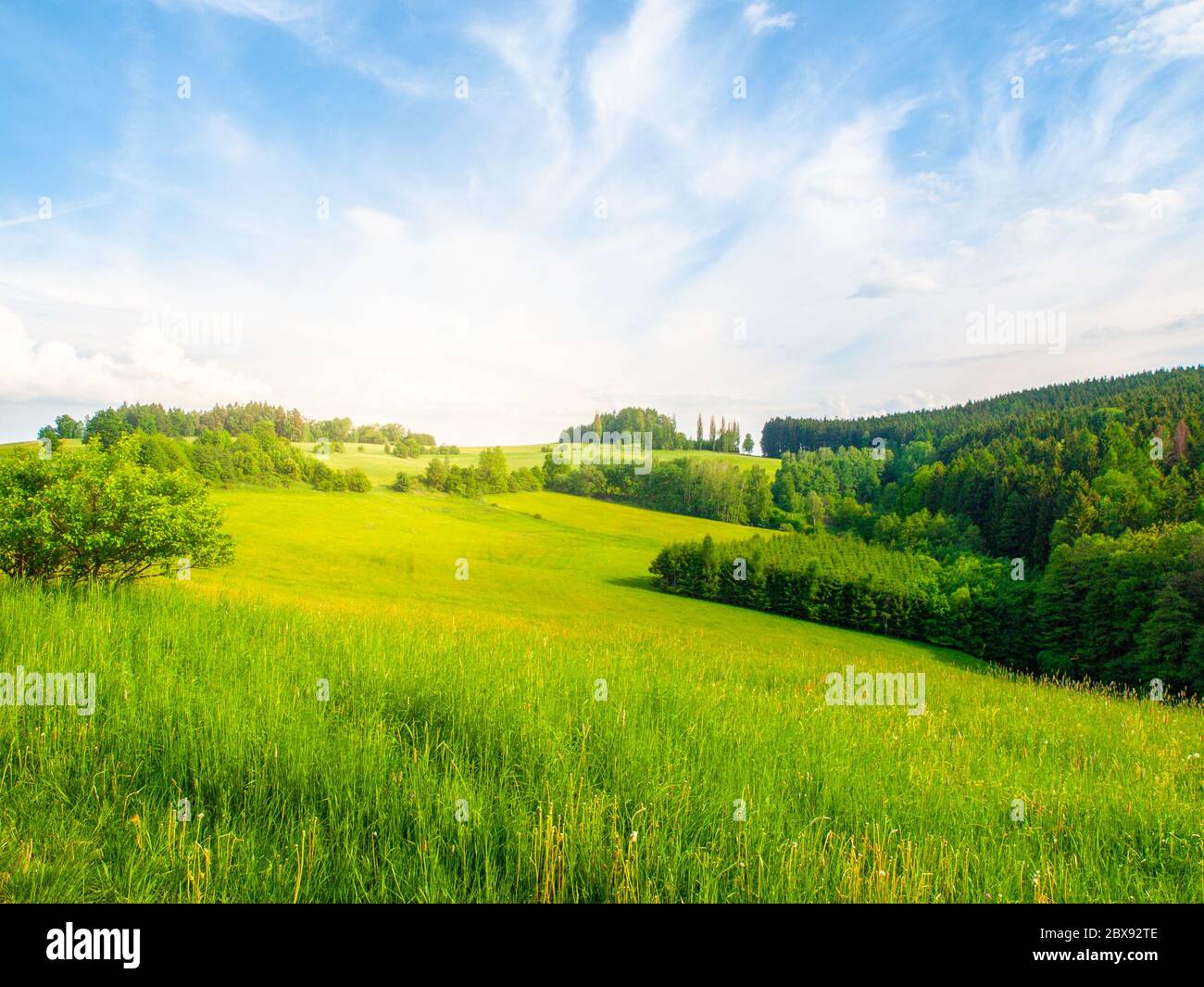 Summer landscape with lush green meadows, forest, blue sky, white clouds and bright shining sun, Czech Republic. Stock Photo
