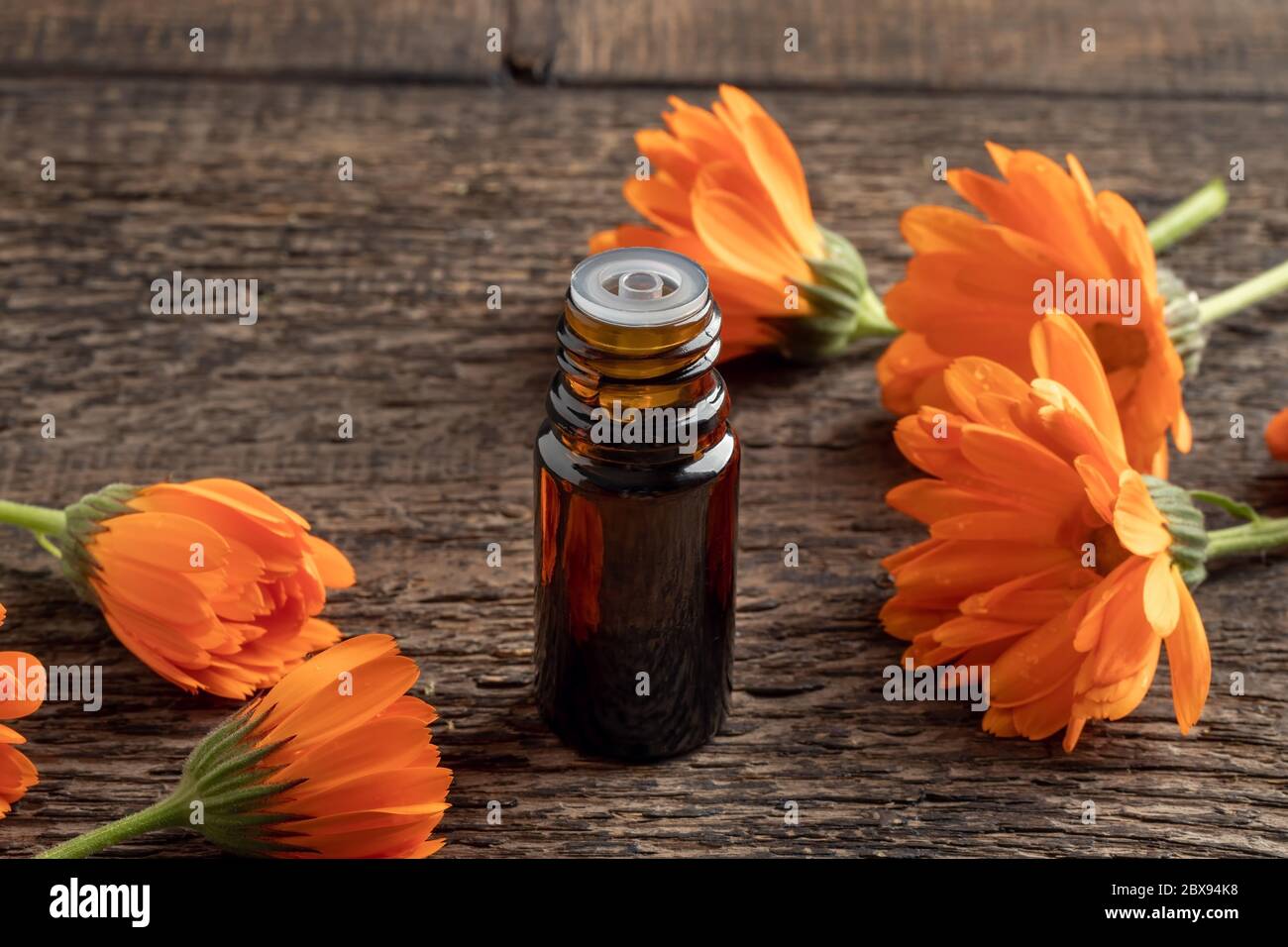 A dark bottle of essential oil with orange calendula flowers Stock