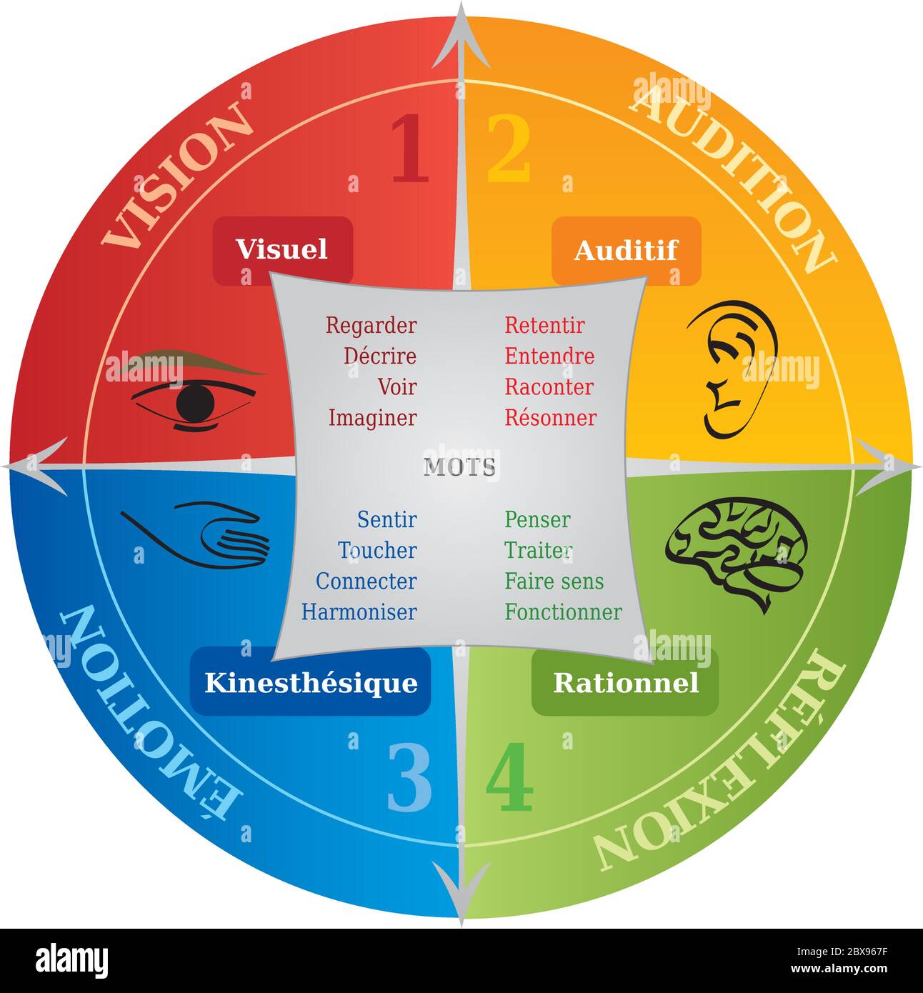 Four Learning Styles Diagram, Tool used for Life Coaching and in NLP ...