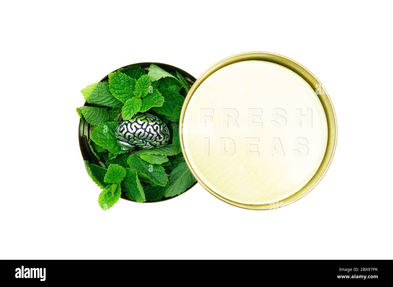 Round tin box full of fresh green mint leaves and a steel copy of human brain on top. FRESH IDEAS text is embossed on the lid. Fresh thinking marketin Stock Photo