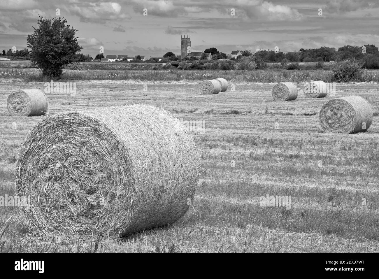 view of hay bales in fields with East Lyng Church in the distance as seen from Crooked Drove on Curry Moor, part of the Somerset Levels. Stock Photo
