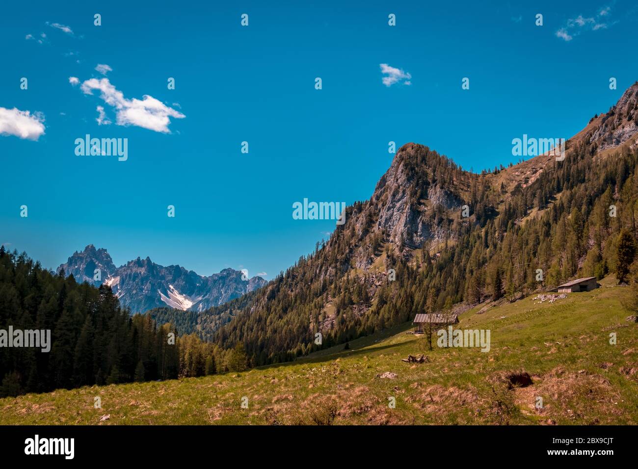 May sunny day in the alps of Friuli-Venezia Giulia, Italy Stock Photo ...