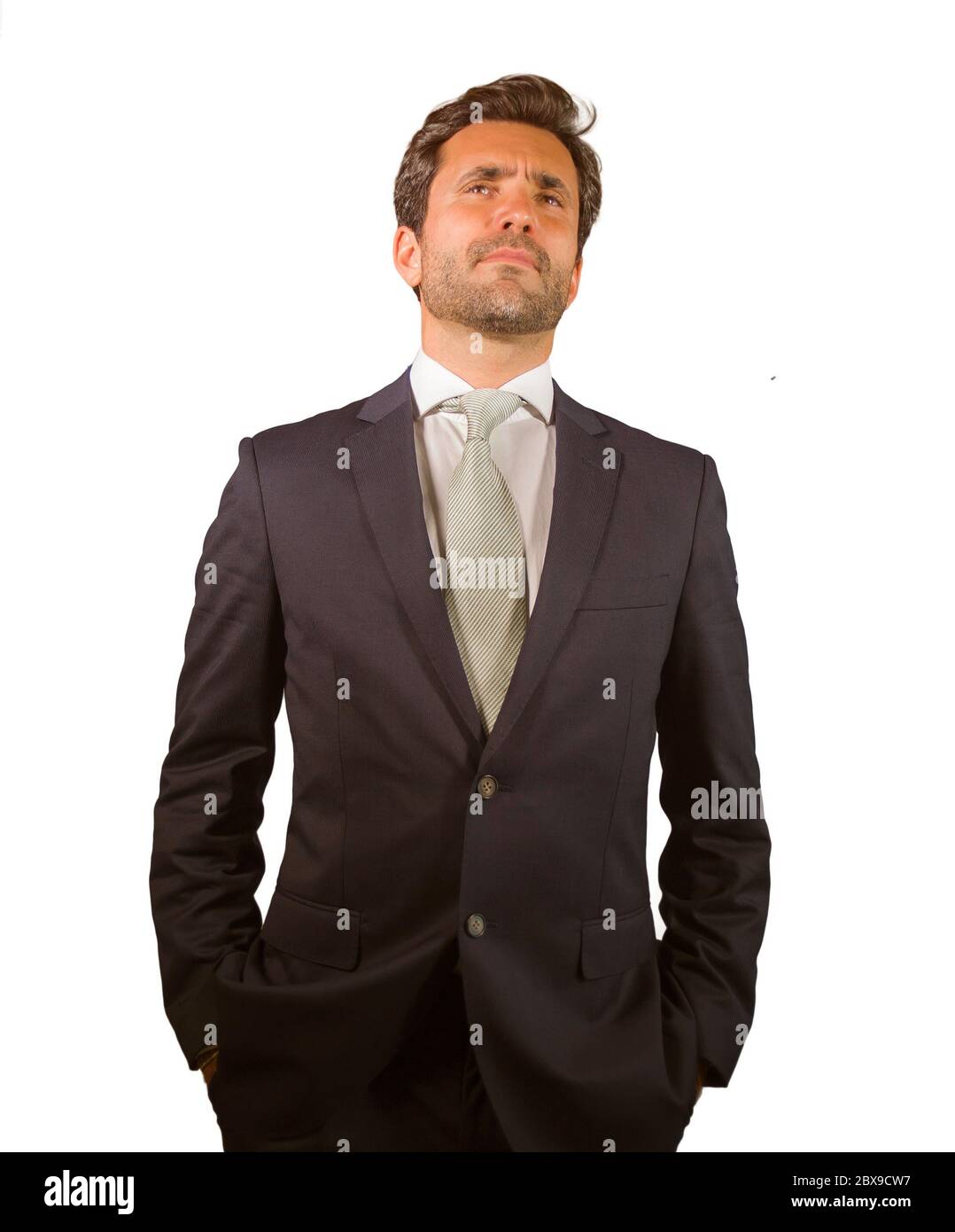 young elegant and handsome businessman in suit and tie posing for ...