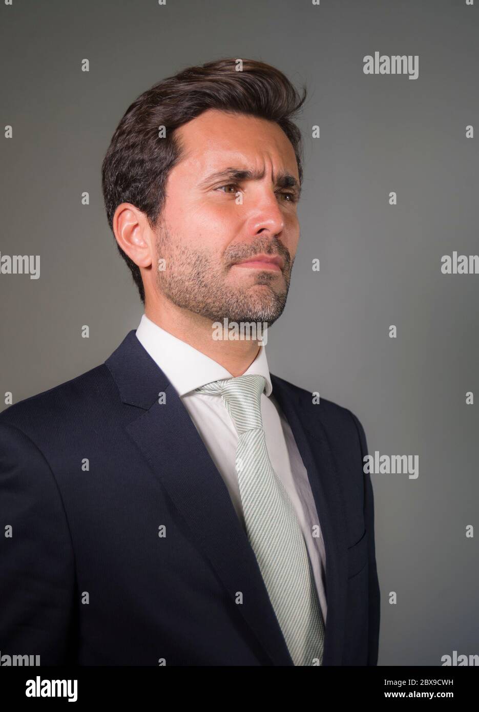 young elegant and handsome businessman in suit and tie posing for ...