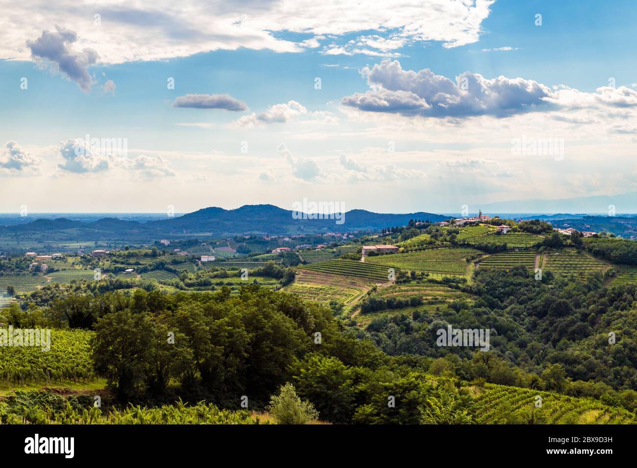 Italy slovenia border vineyard hi-res stock photography and images - Alamy