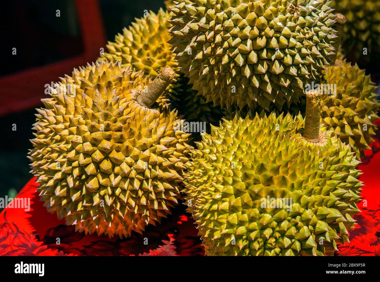Durian Is A Famous Sweet And Tasty Asian Fruit Typical From Singapore Malaysia And Indonesia With Curious Spikes Or Stings And Strong And Bad Smell Bu Stock Photo Alamy