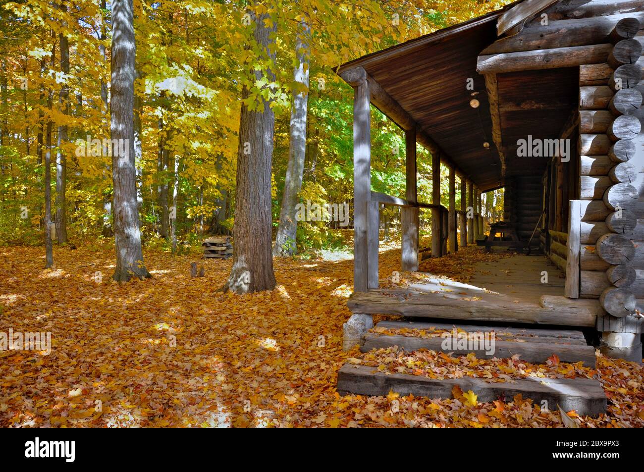 Old wooden log house exterior with maple trees forest, King City