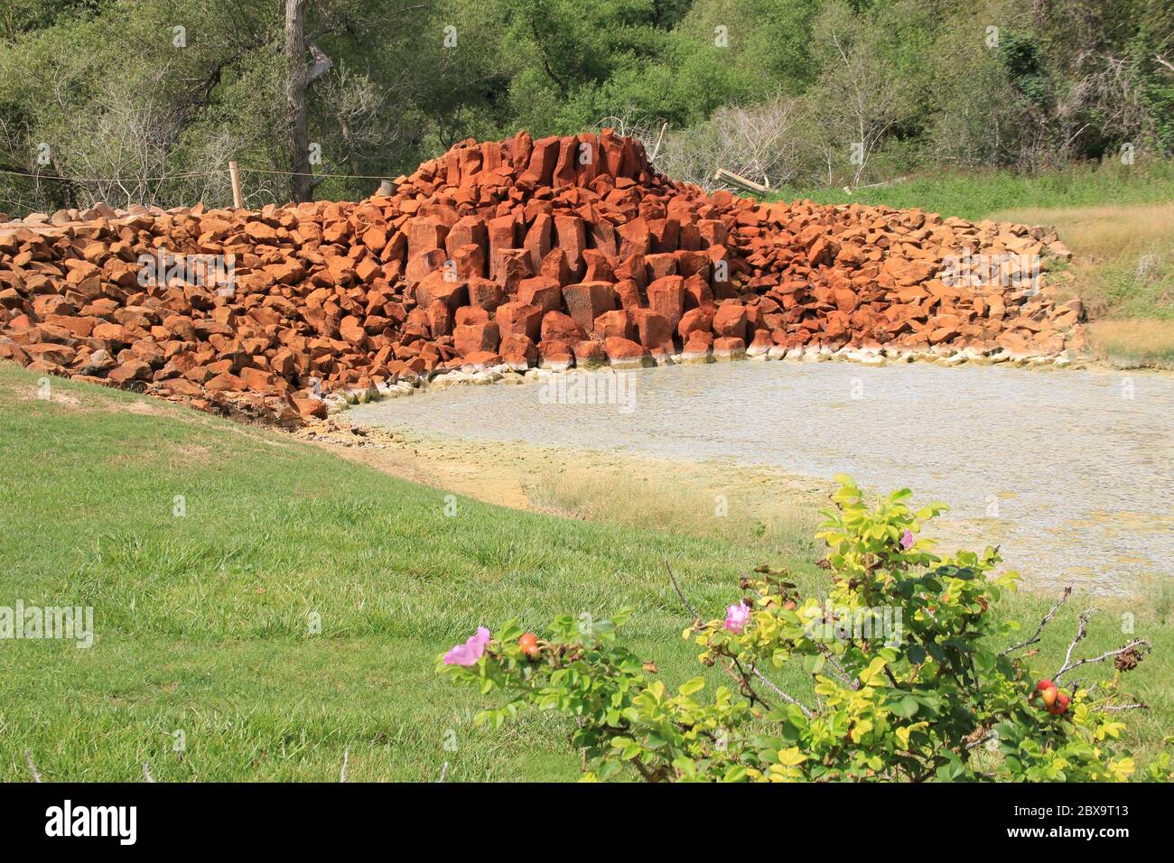 The Andernach Geyser in Germany Stock Photo Alamy