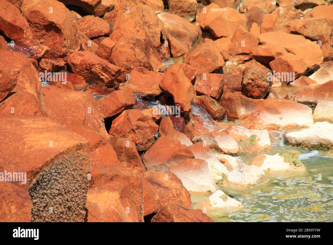 The Andernach Geyser in Germany Stock Photo Alamy