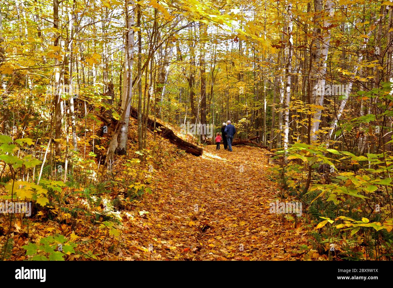 King City, Ontario / Canada - 10/17/2008: Child walking in the natural parkland with the grandparents. Stock Photo