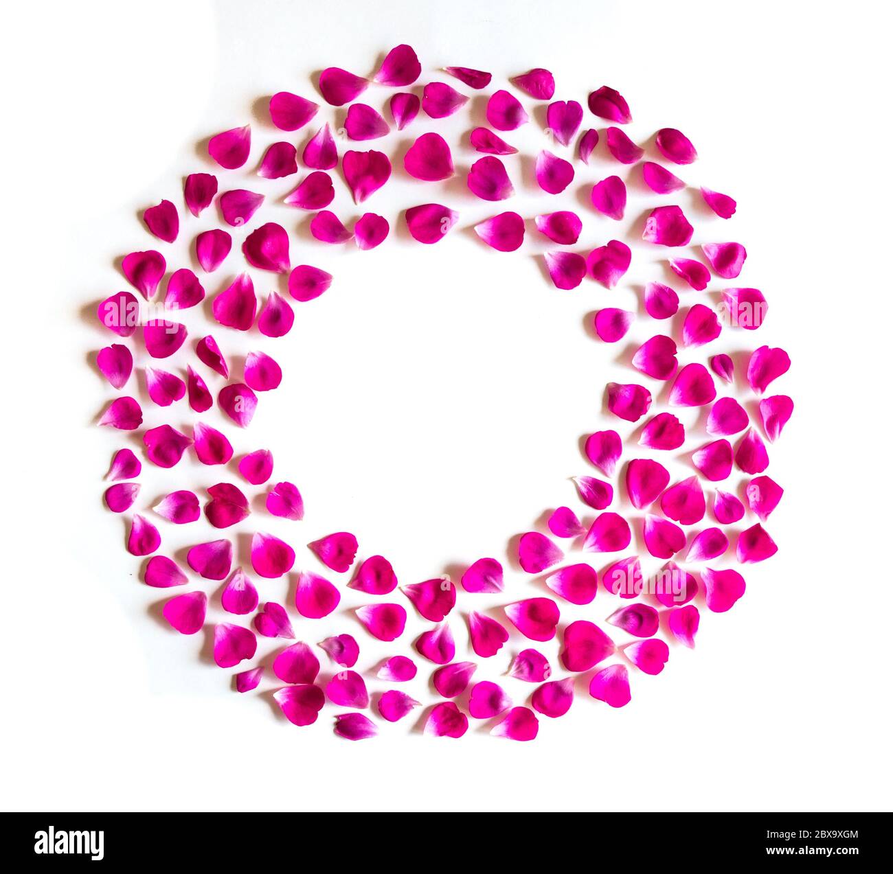 Flat lay summer womens Cut Out Stock Images Pictures Alamy