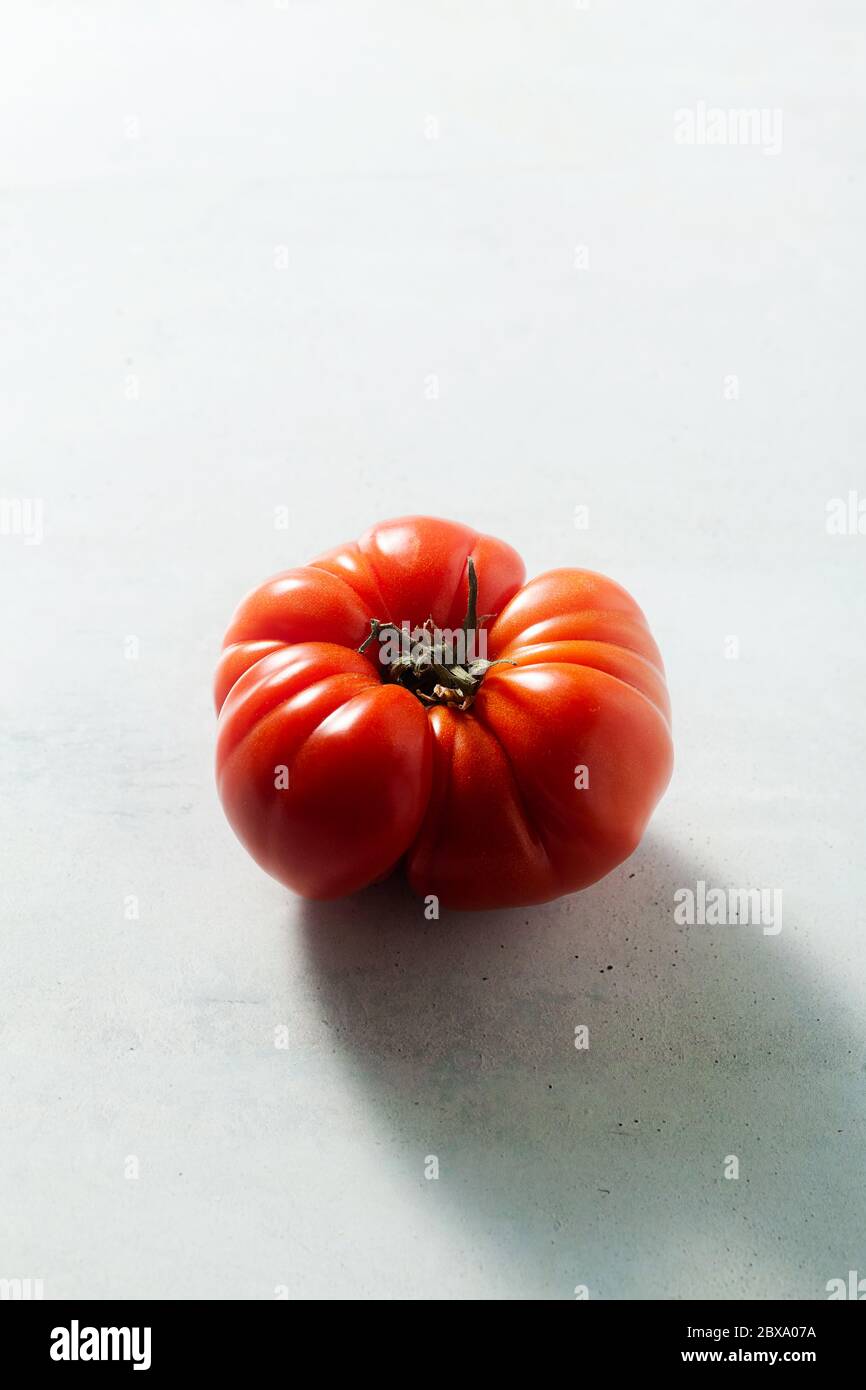 one red tomato on the table. light from behind. oxheart Stock Photo