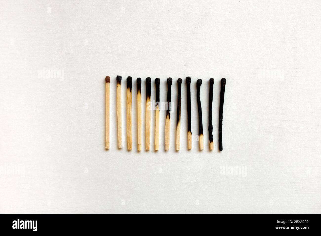 Burned matches in a row on a white background Stock Photo