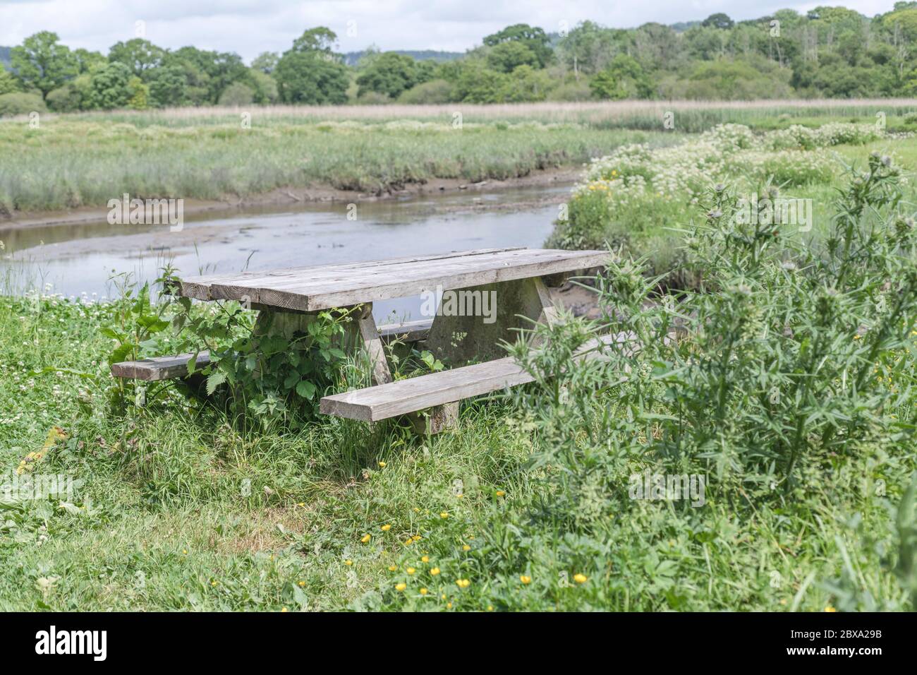 Empty public picnic table in sunshine beside the waters of the River Fowey at Lostwithiel, Metaphor empty public spaces during Covid-10 lockdown. Stock Photo