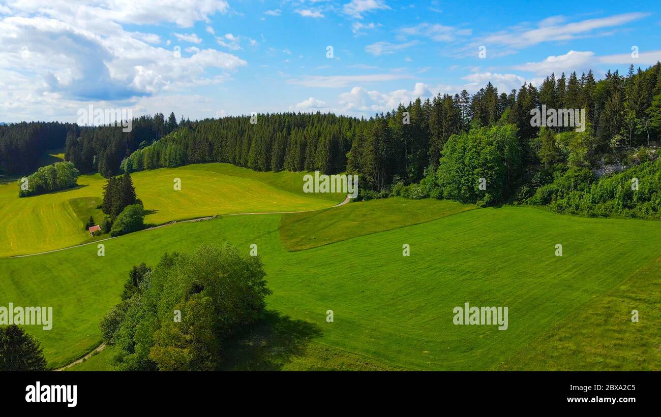 Typical landscape in Bavaria in the Allgau district of the German Alps ...