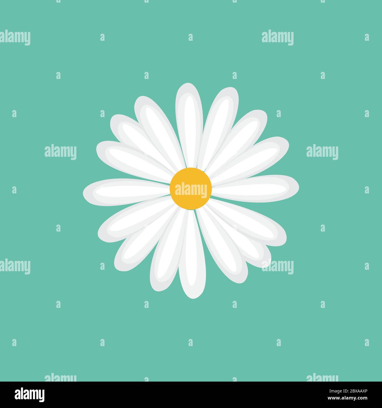 daisy chamomile flower icon design vector illustration Stock Vector