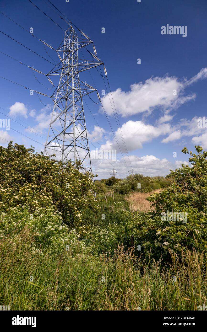 Electricity pylon, Deeside, North Wales Stock Photo