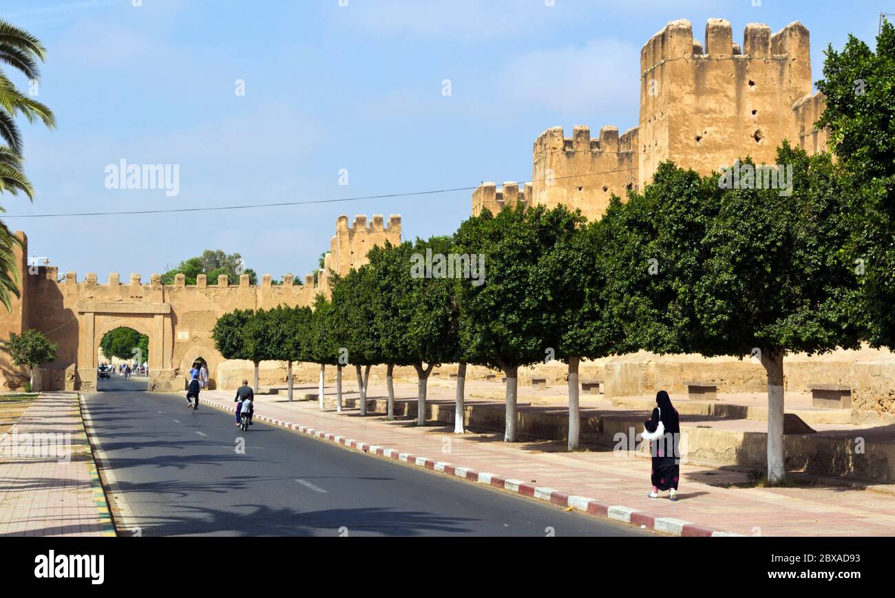 Bab el Kasbah at the end of a tree lined avenue into the Kasbah of Taroudant, Morocco Stock Photo