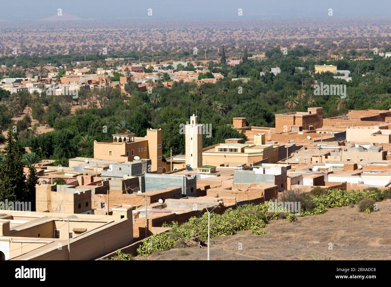Aerial View of the Oasis of Tiout, near Taroudant, Morocco Stock Photo