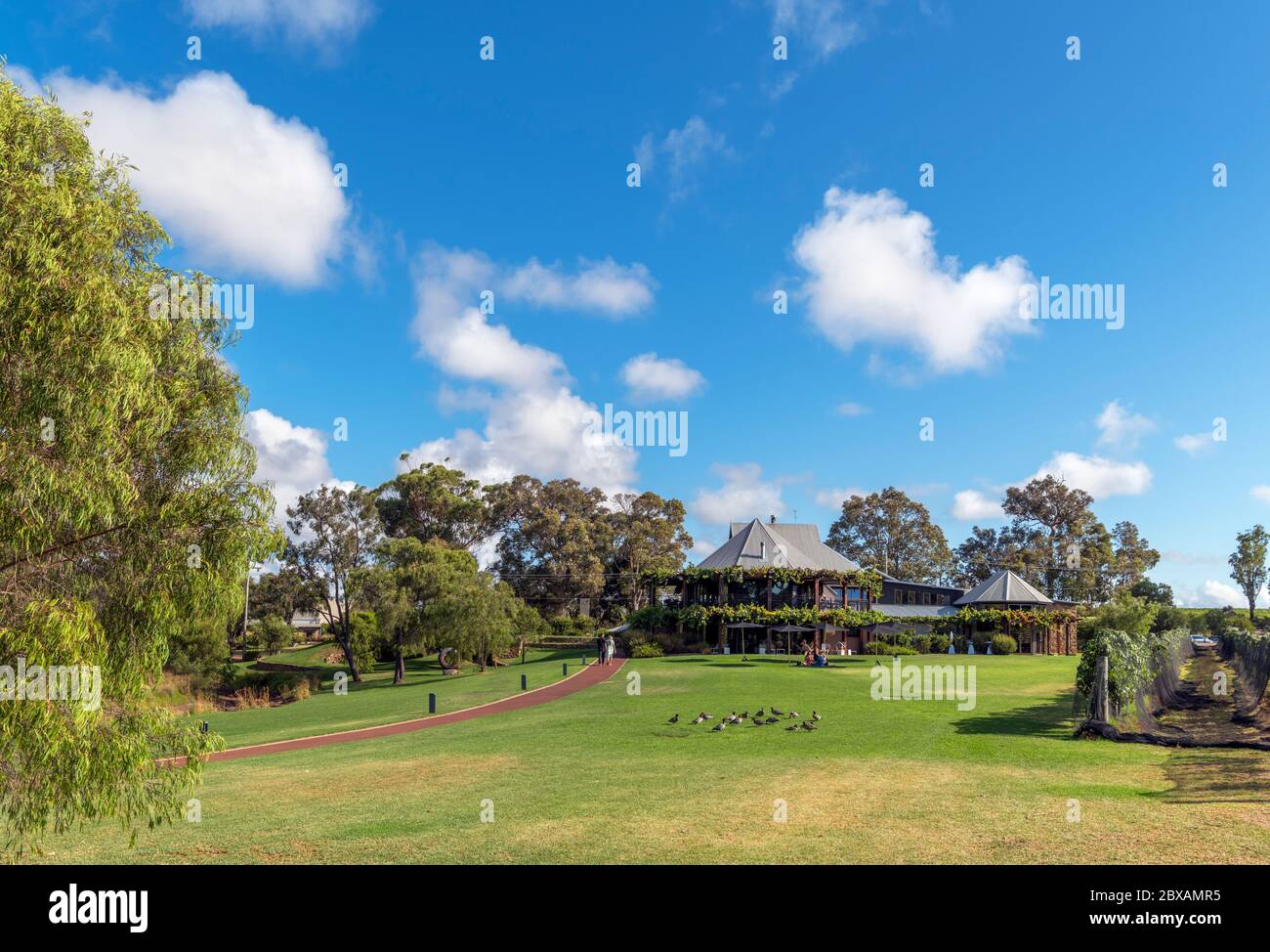 The Vasse Felix Vineyard and Winery, Margaret River wine growing region, Western Australia, Australia Stock Photo