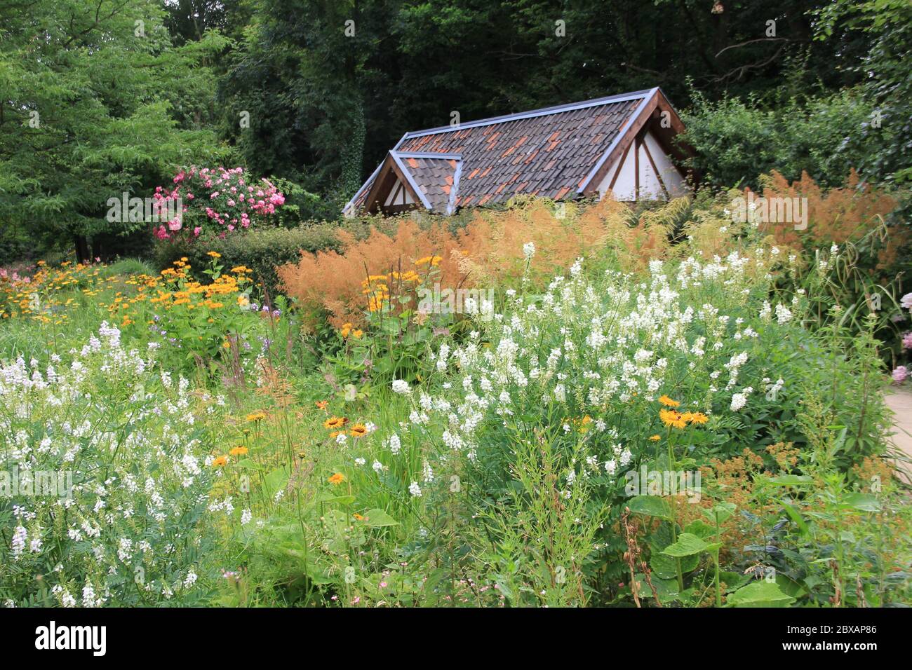 Mondo Verde Tropical Park And Garden In Landgraaf The Netherlands Stock Photo Alamy