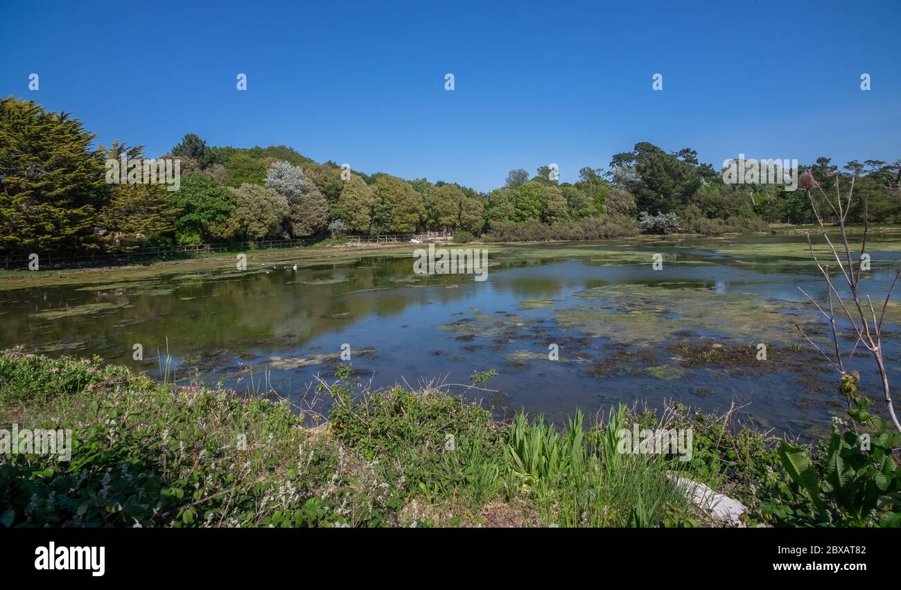 Highcliffe beach hampshire hi-res stock photography and images - Alamy