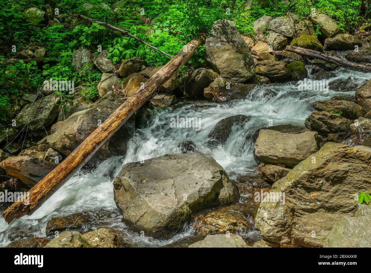 Water rushing downstream from the waterfall cascading through the rocks and boulders and flowing underneath the fallen tree log on a bright and sunny Stock Photo