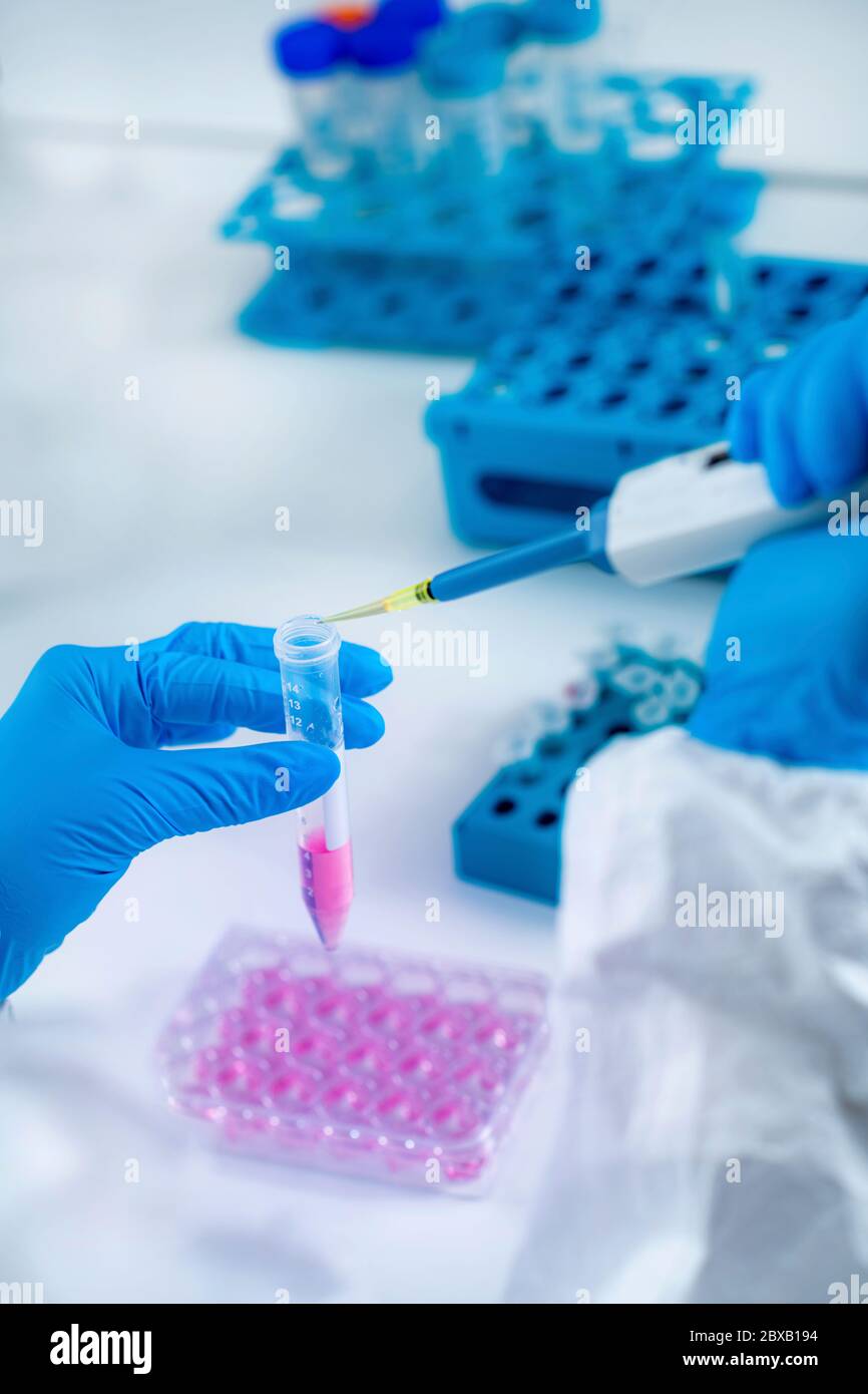 Imm Lab Shot Glass Antibody development hi-res stock photography and images - Alamy