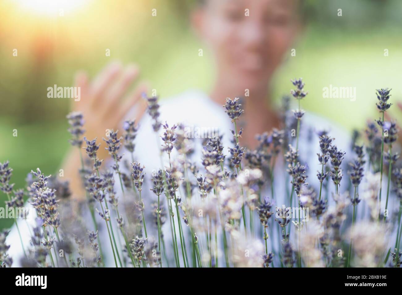 Breathing exercise in a lavender field Stock Photo