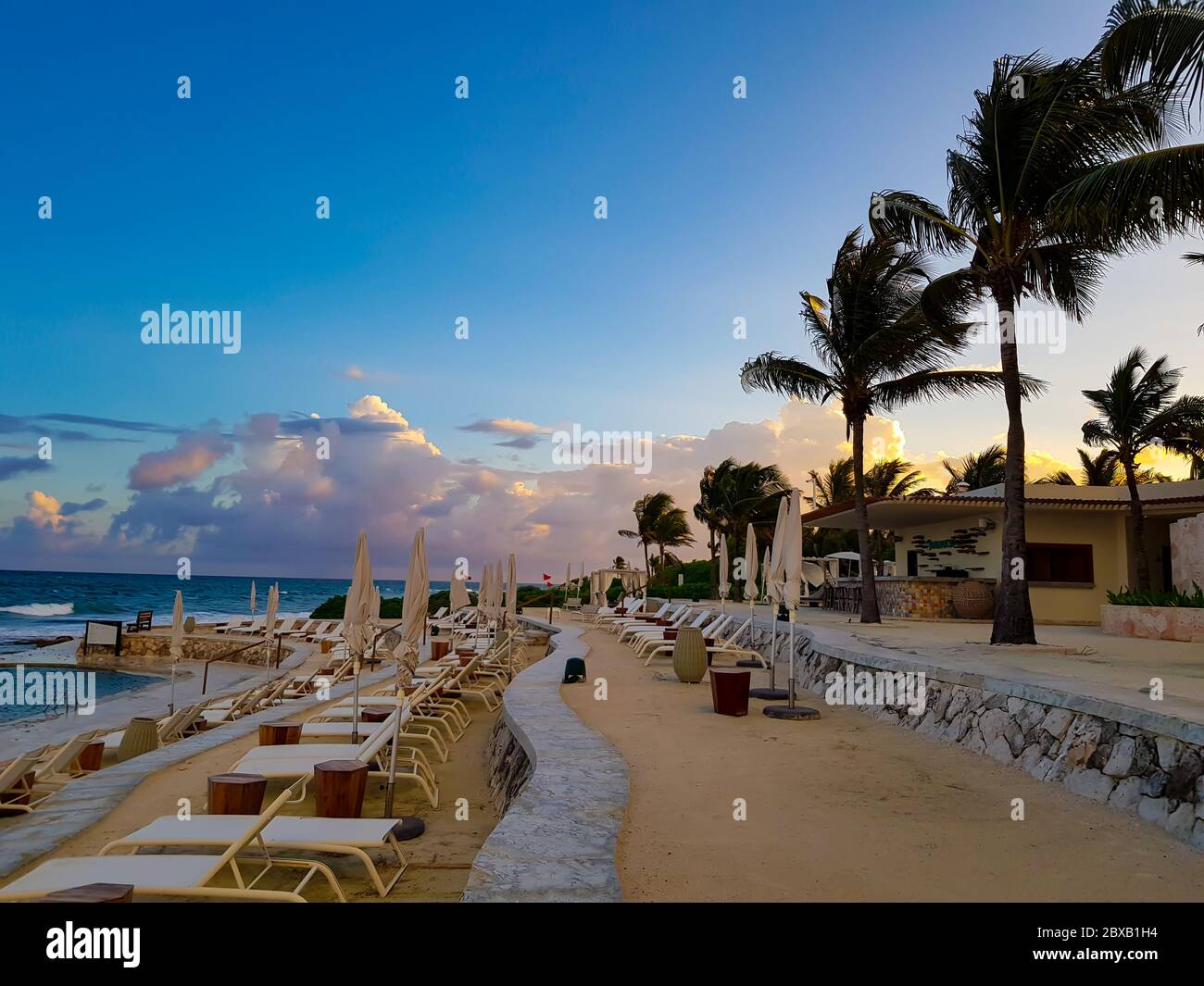 Palm Trees blown by the wind with beautiful sunset in the background in Cancun, Mexico. Stock Photo