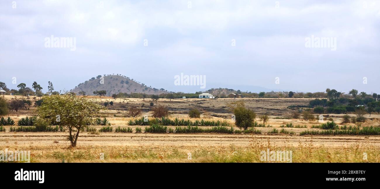 rural scene, landscape, panorama, tan land, green shrubs, trees, distant hills, houses, Africa, Arusha, Tanzania Stock Photo