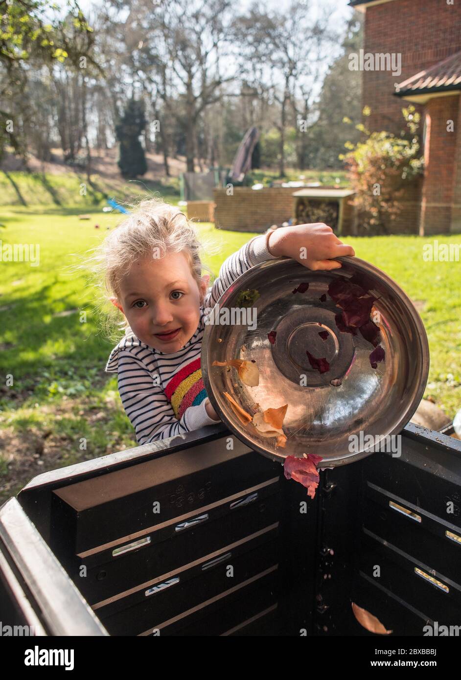 Corona composting, 4 year old pre-school girl emptying out the compost bin, getting your child interesting in gardening. Corona lockdown gardening Stock Photo