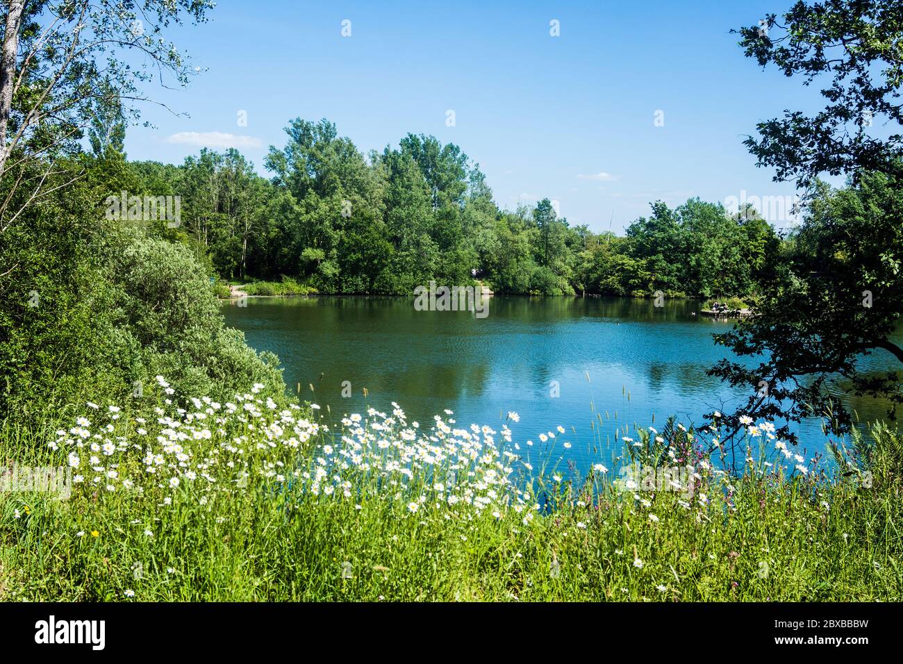 Longton Nature Reserve is a haven for wildlife and is near Preston