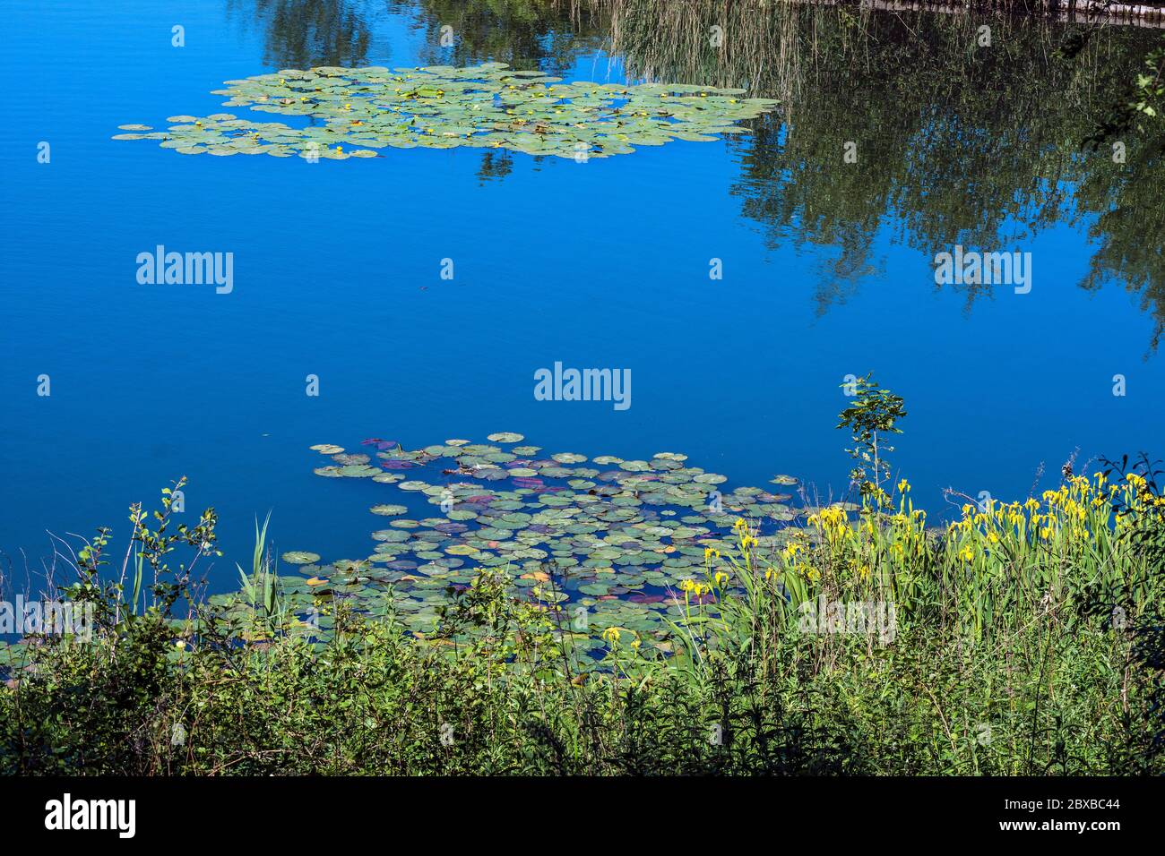 Longton Nature Reserve is a haven for wildlife and is near Preston