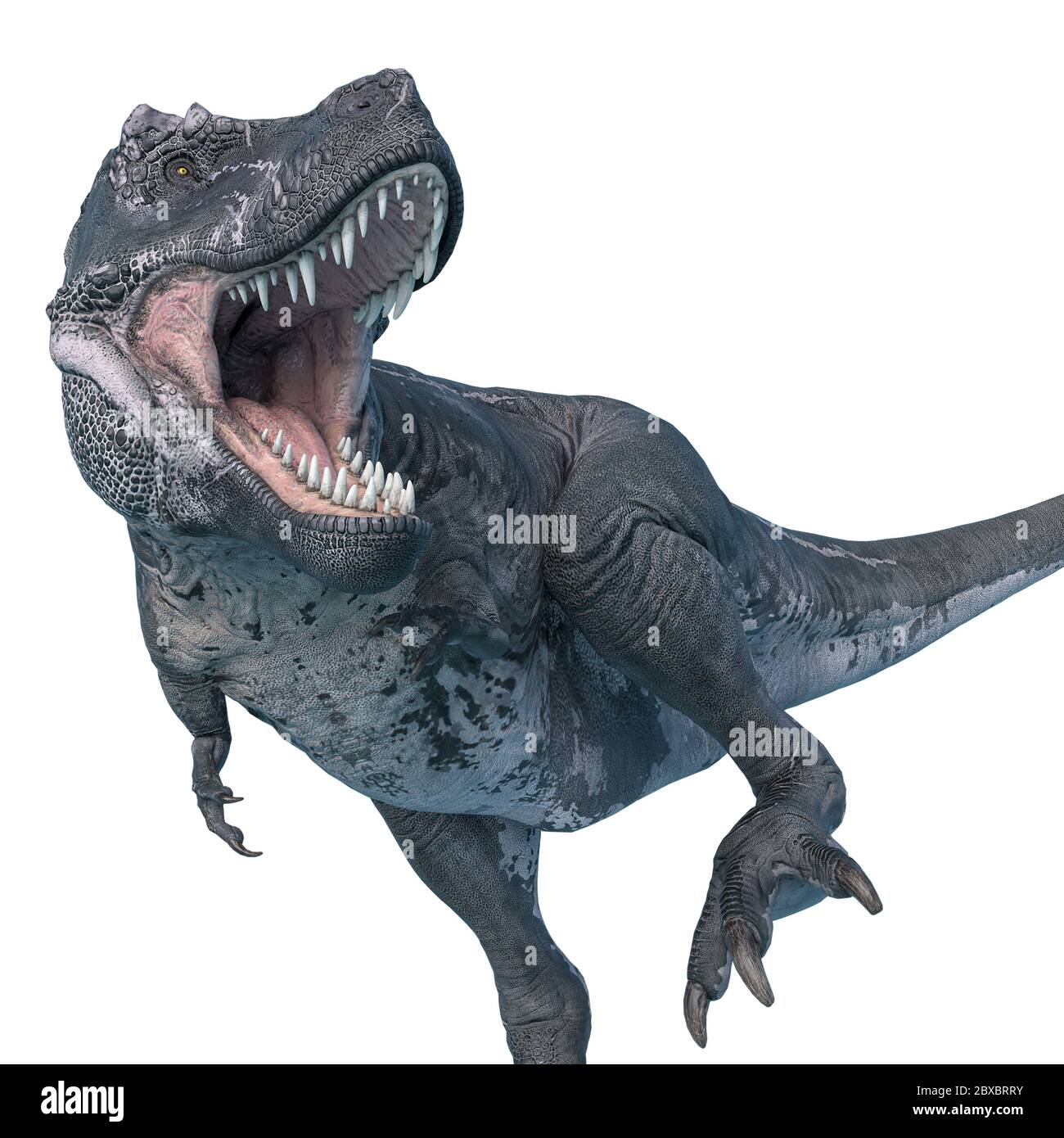 tyrannosaurus rex is running on ice age, 3d illustration Stock Photo - Alamy