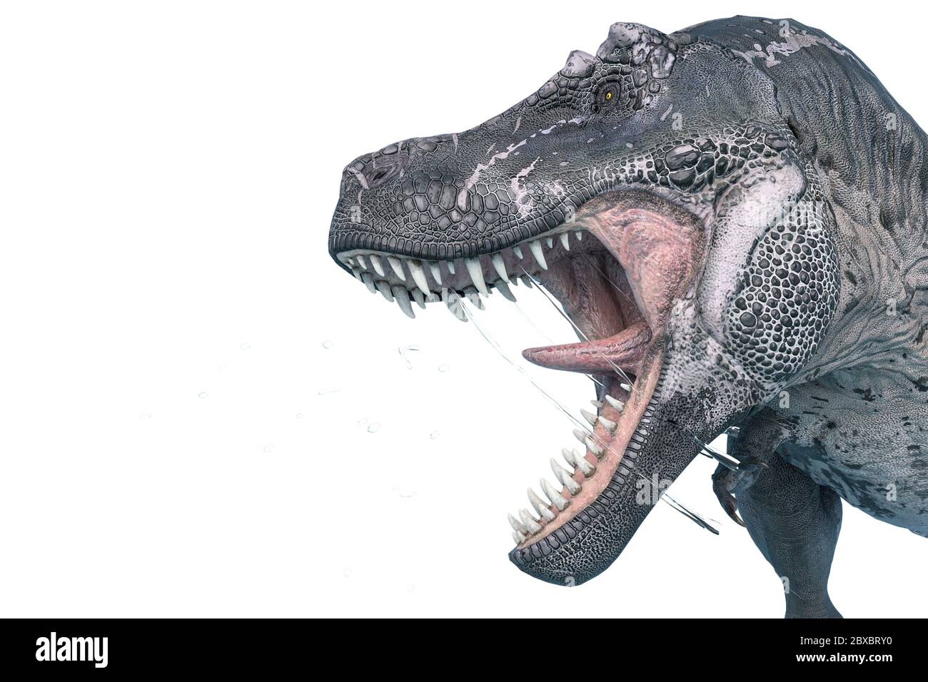 tyrannosaurus rex in anger and screaming loudly. This dinosaur in