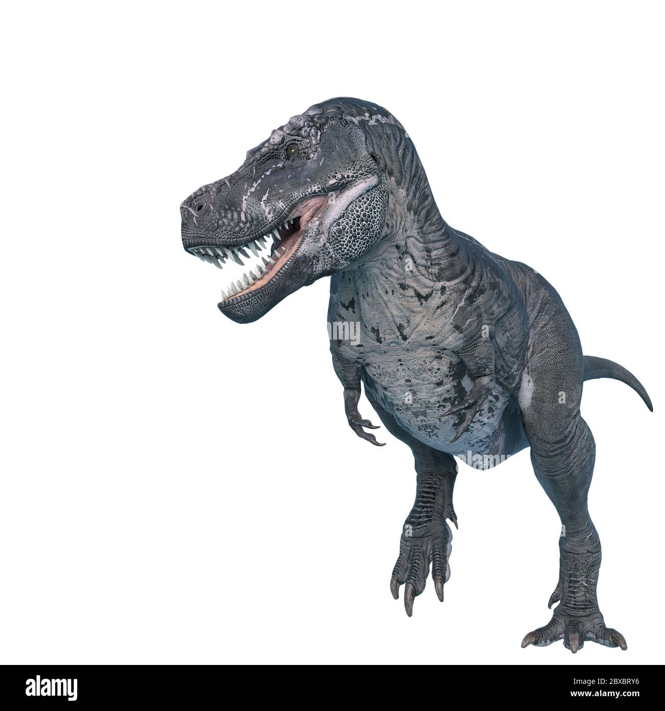 tyrannosaurus rex is running on ice age, 3d illustration Stock Photo - Alamy