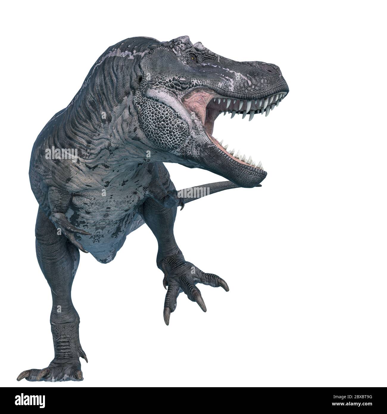 T-rex dinosaur running. Photorealistic 3d illustration side view. On white  background. Clipping path included Stock Photo - Alamy