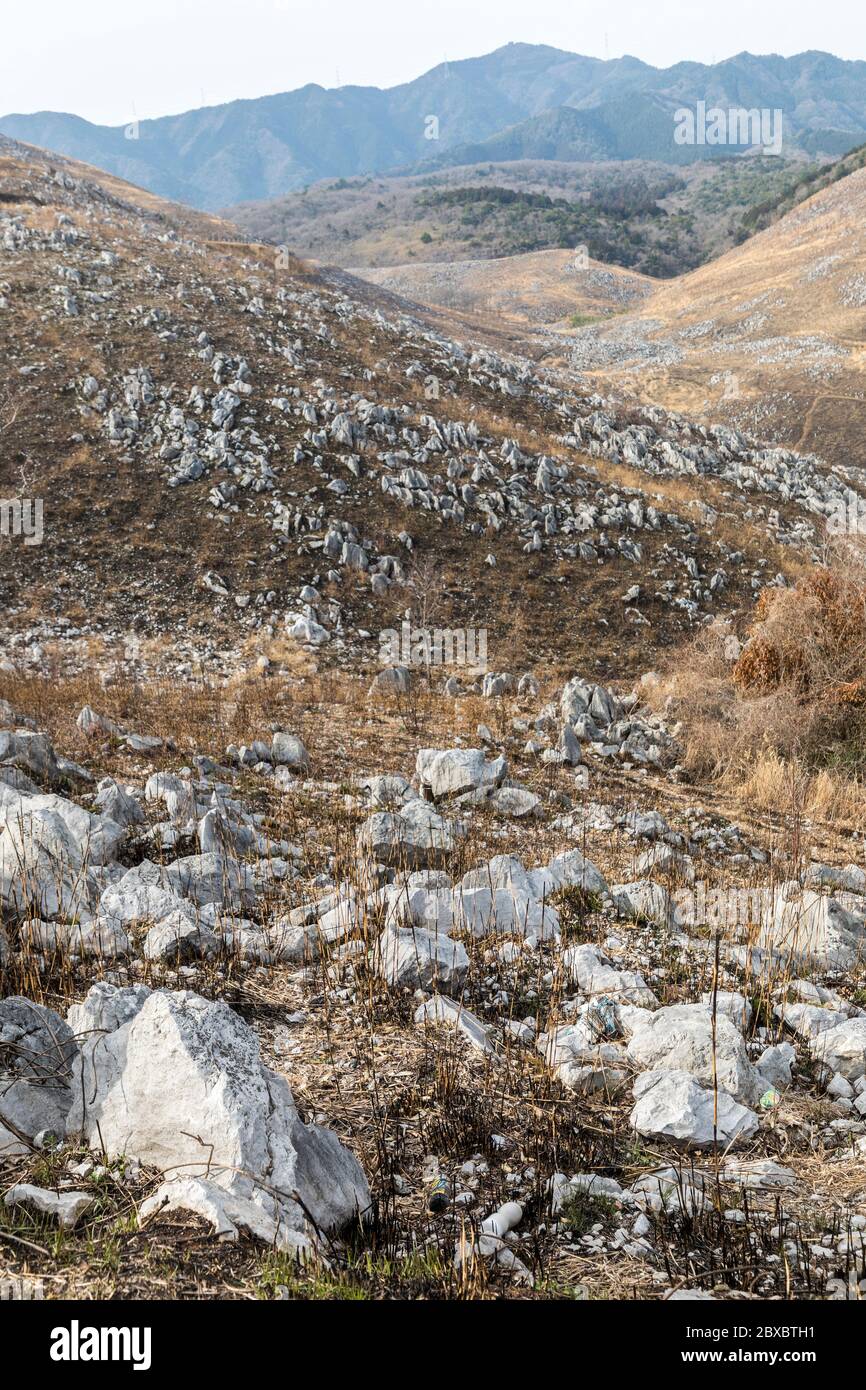 Akiyoshidai karst plateau after annual burning, Yamaguchi, Japan Stock Photo