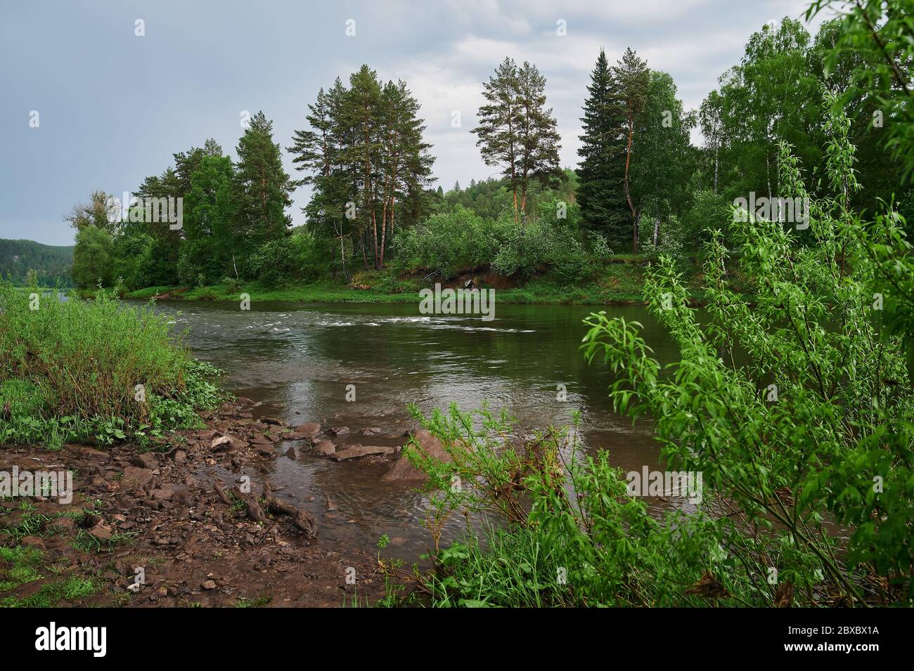 Summer mist along the Williams River, a rushing mountain stream as seen ...