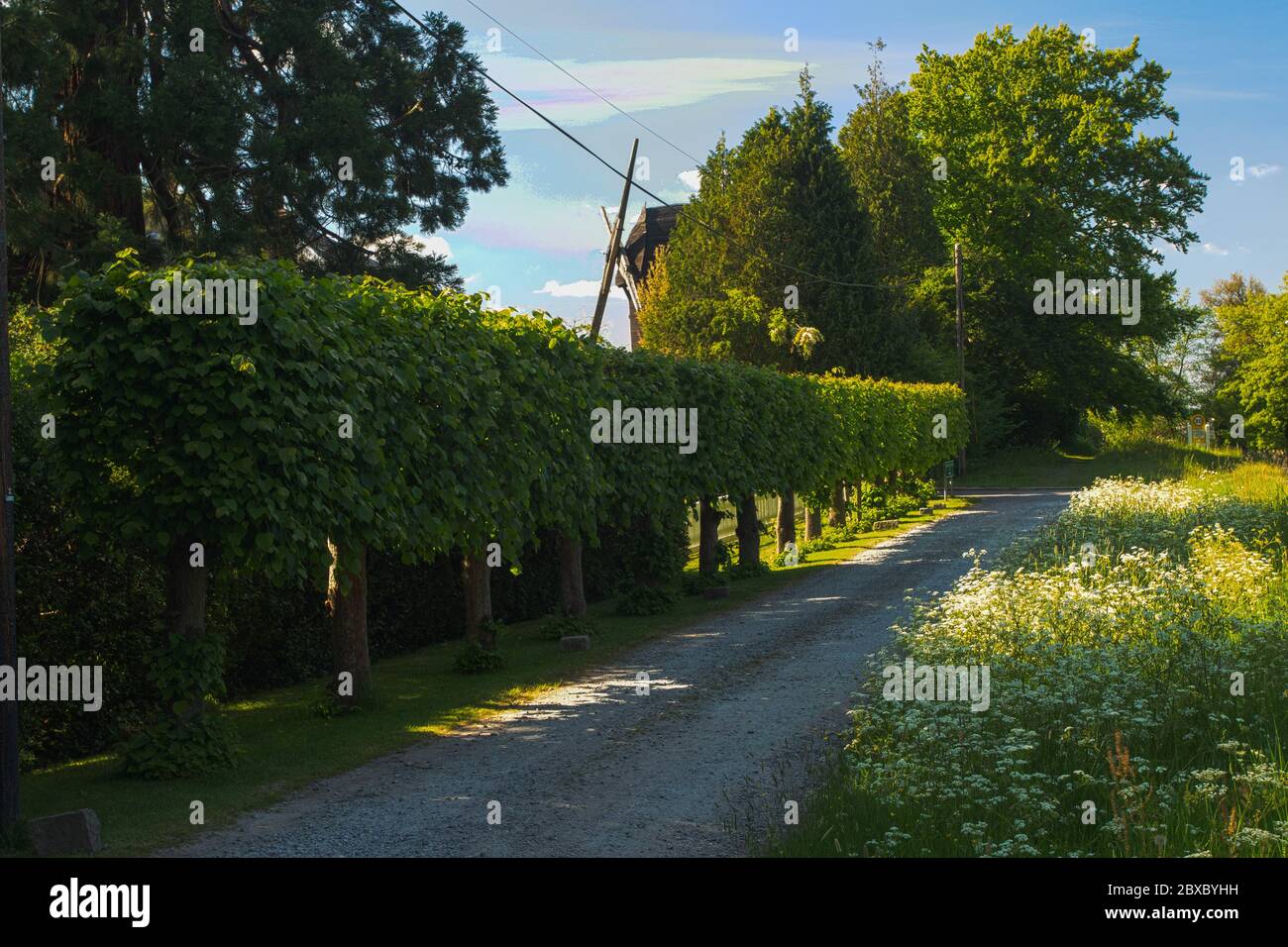 Keston windmill on private property in the London Borough of Bromley
