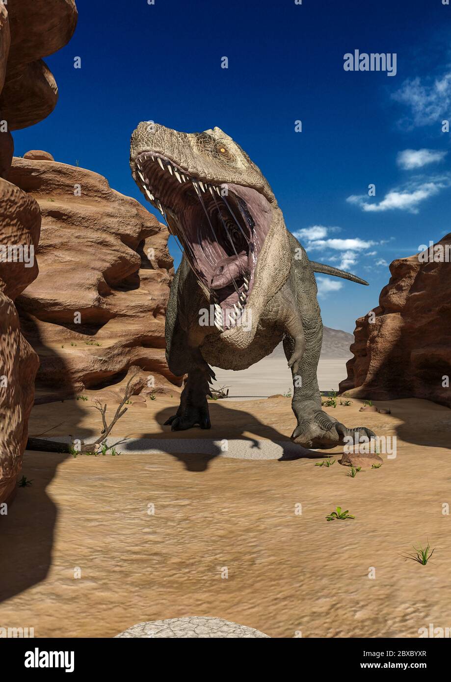 T rex dinosaur hi-res stock photography and images - Alamy