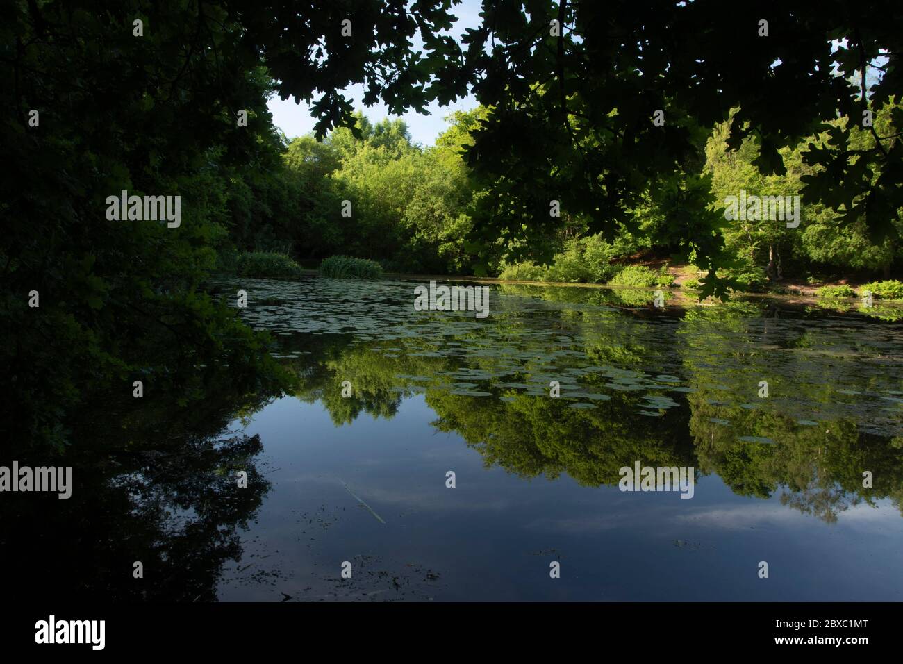 Keston pond on the outskirts of Bromley in spring, Greater London, England, United Kingdom, Europe Stock Photo