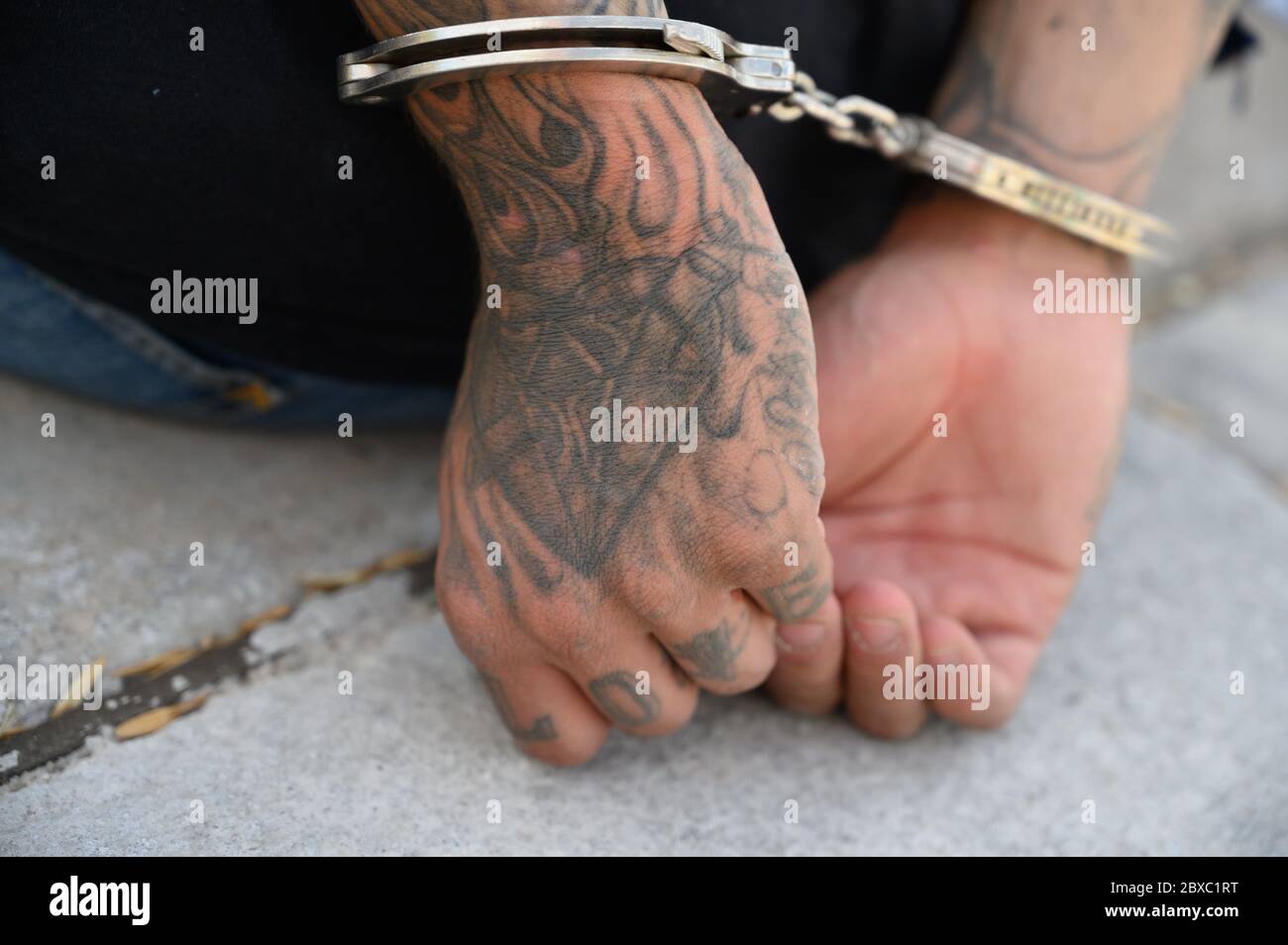 U.S. Marshals and local police handcuff a suspect wanted for violent offenses during the 90-day, multi-state Operation Triple Beam May 26, 2019 in St Louis, Missouri. The operation resulted in more than 6,000 arrests in violence-plagued communities. Stock Photo