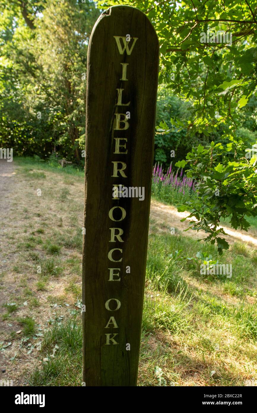 Wilberforce Oak on the outskirts of London, anti-slavery, England, United Kingdom, Europe Stock Photo