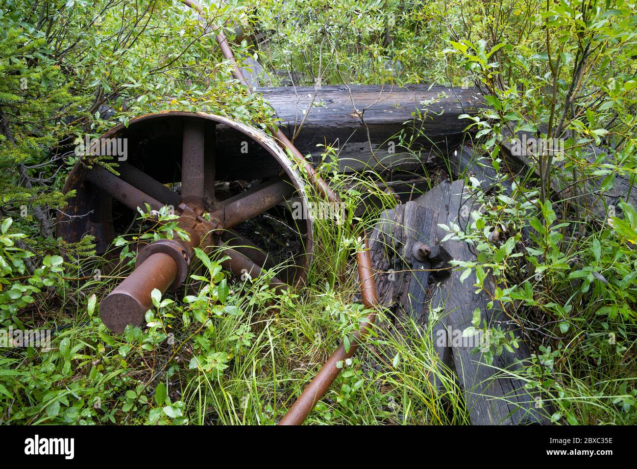 Rusty pieces of mining machinery are being swallowed by the forest in the Elkhorn mining district of Montana near the ghost town of Coolidge. Stock Photo