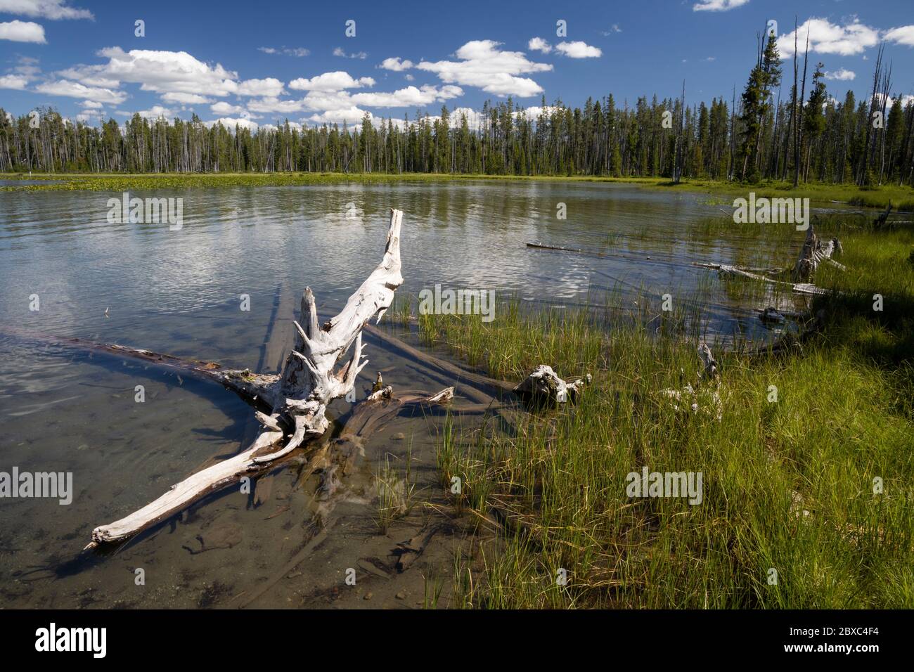 Beula Lake is a quaint fishing spot at the end of a 2.5 mile hike into the back country of Yellowstone National Park. Stock Photo