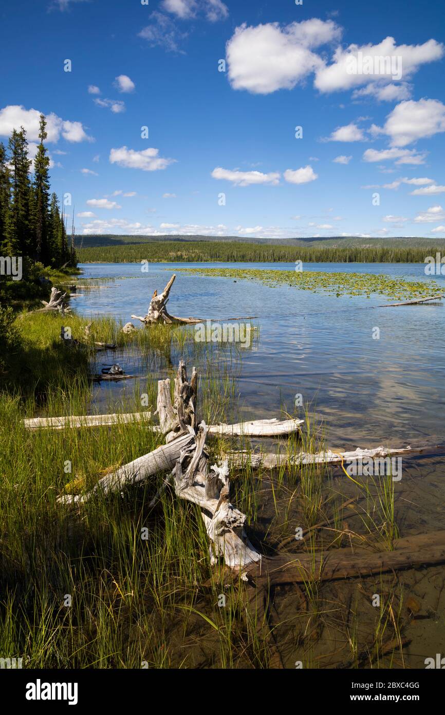 Beula Lake is a quaint fishing spot at the end of a 2.5 mile hike into the back country of Yellowstone National Park. Stock Photo