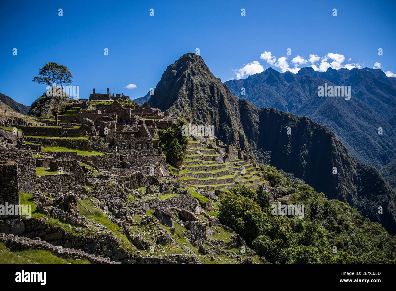 Machu Picchu in summer with a beautiful blue sky. Beautiful landscape of ancient civilization. Stock Photo